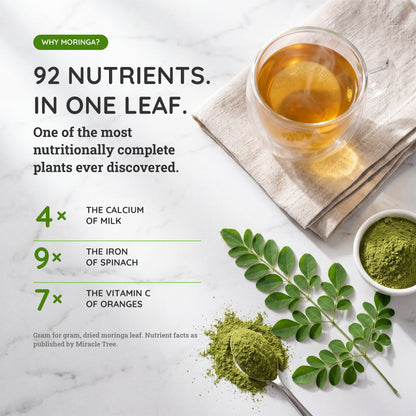 Organic Moringa Tea - Earl Grey - Low Caffeine Herbal Tea